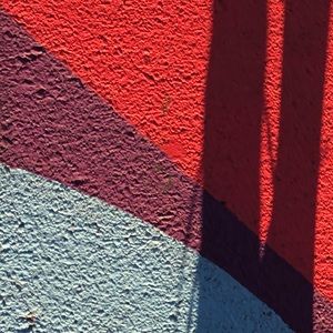 Meet your Posher, Lizzie